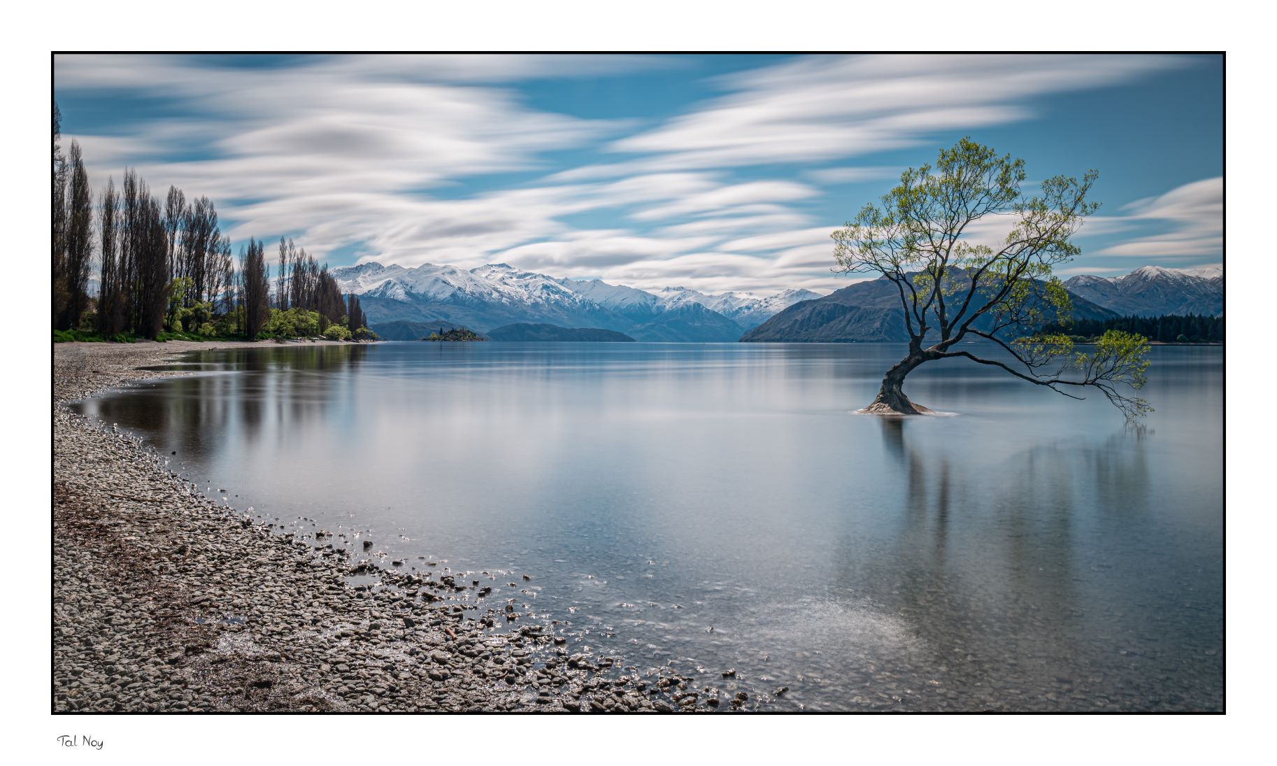 That Wanaka Tree - iconic lone tree in Lake Wanaka at sunrise